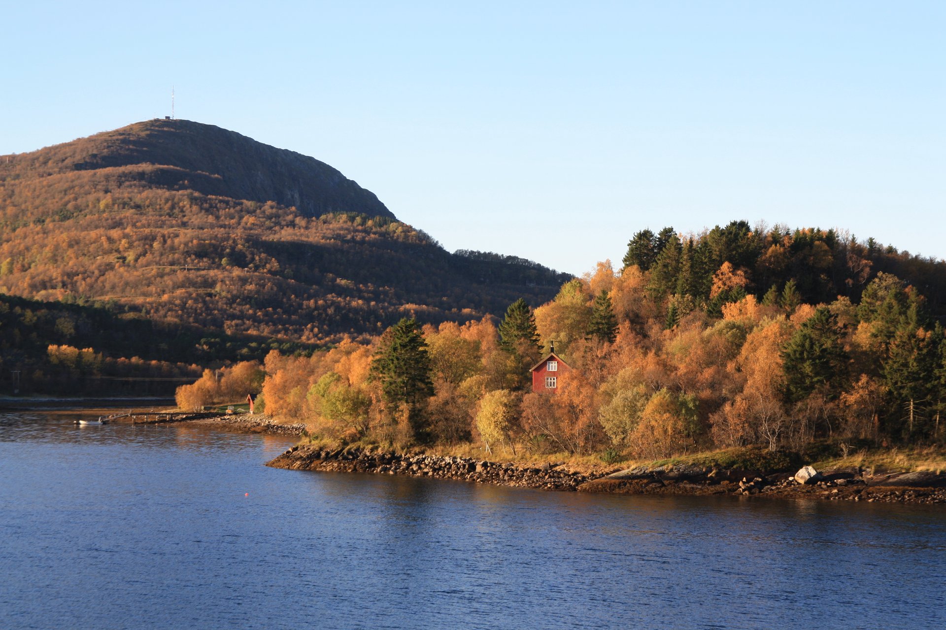 Hurtigruten Herbstfärbung in Norwegen