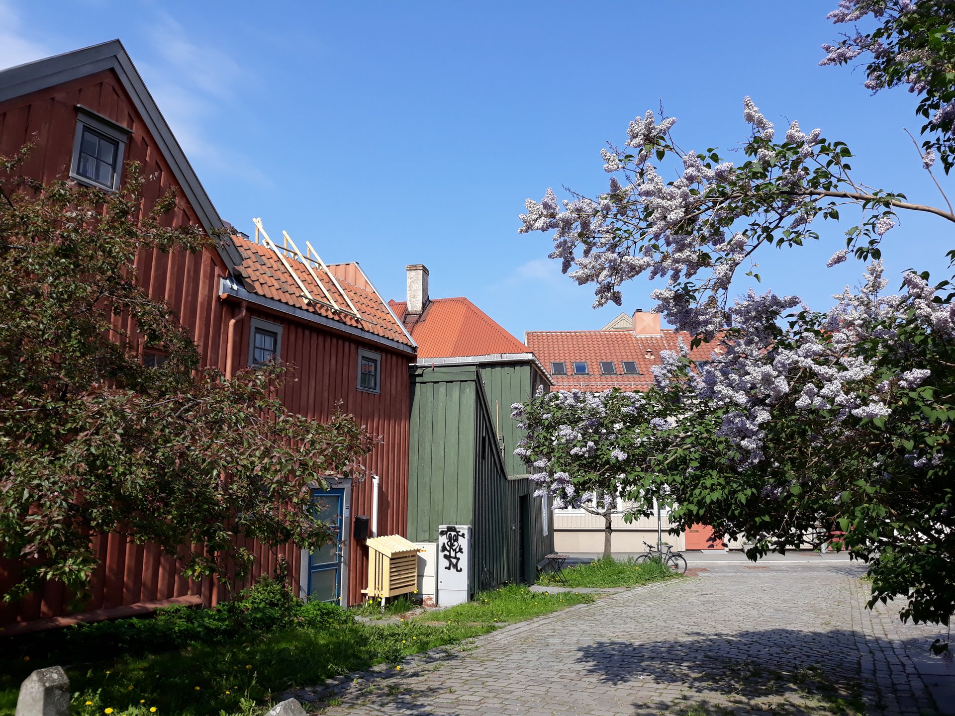Stadtteil Bakklandet in Trondheim