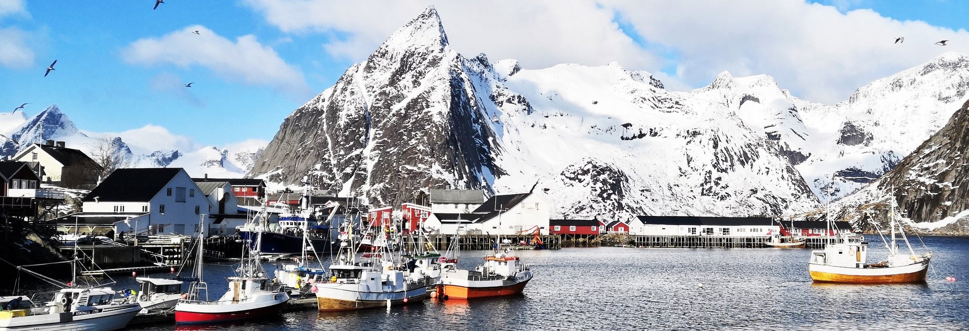 Kleiner Fischerhafen auf den Lofoten