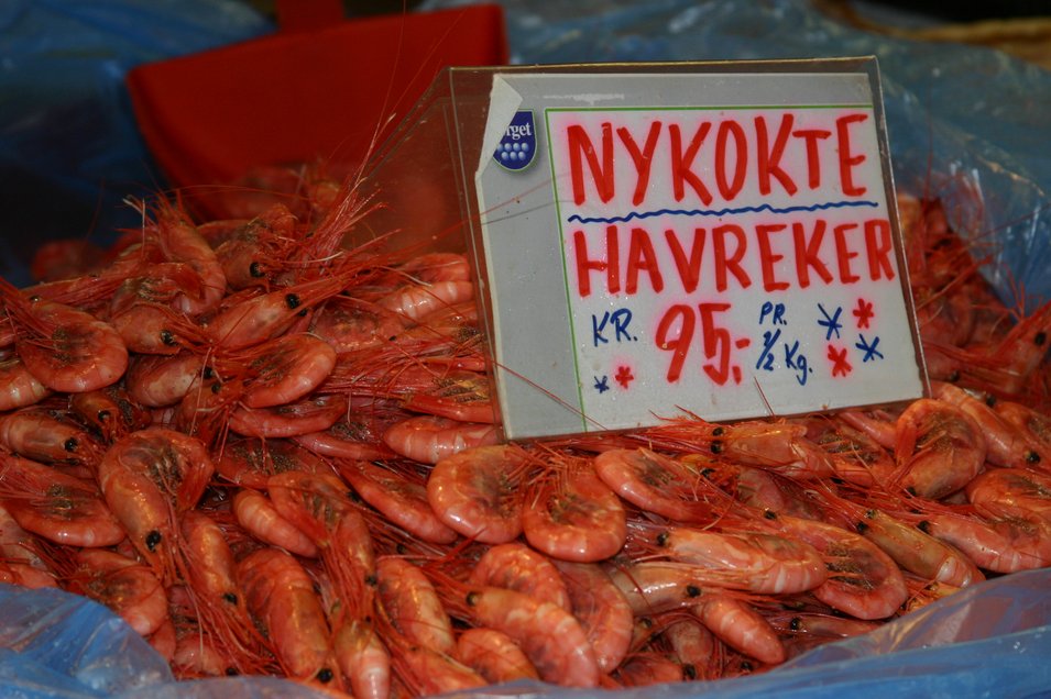 Fischmarkt Bergen - frisch gekochte Krabben