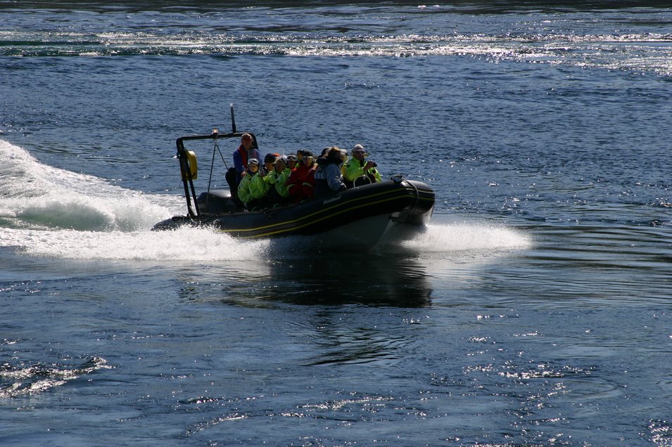 RIB-Boat Safari zum Saltstraumen