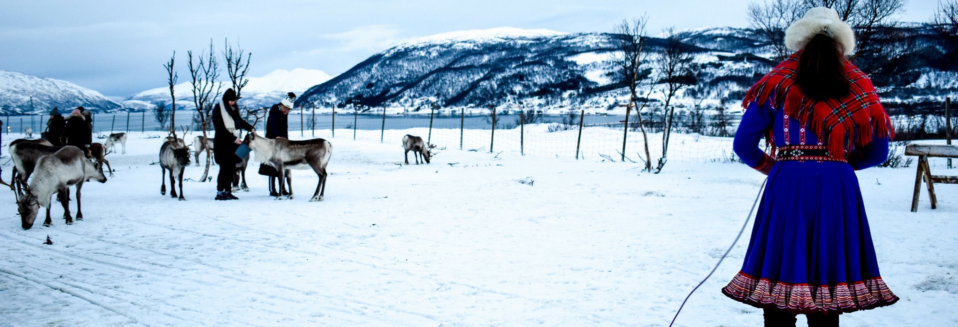 Sami mit Rentieren in verschneiter Landschaft